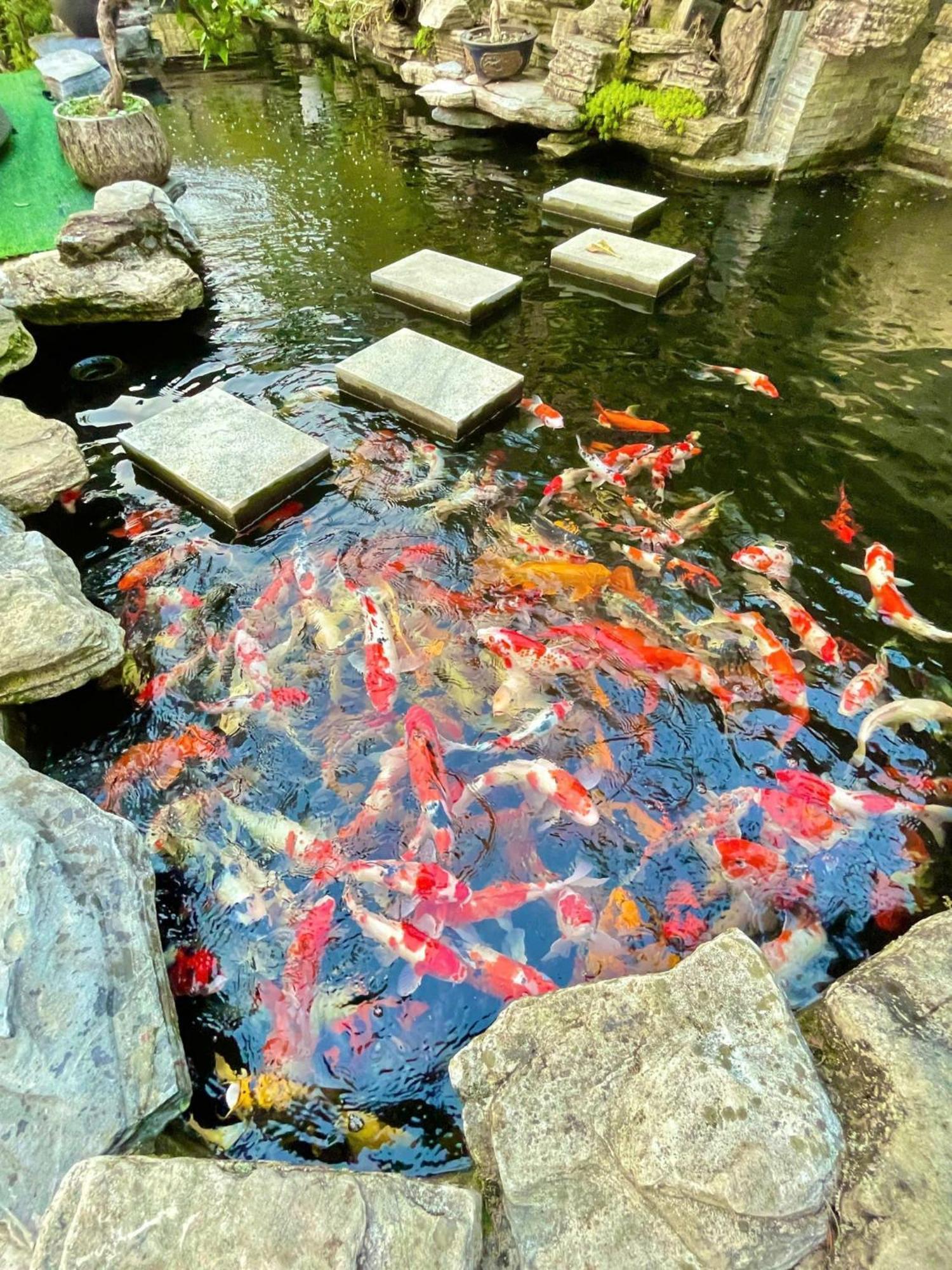 Chuon Chuon Villa Homestay Tam Ðảo 外观 照片