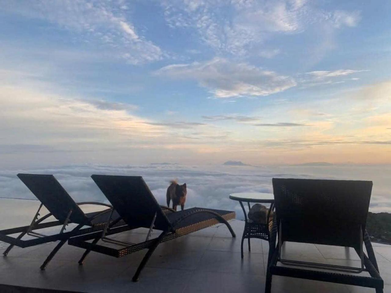 Chuon Chuon Villa Homestay Tam Ðảo 外观 照片